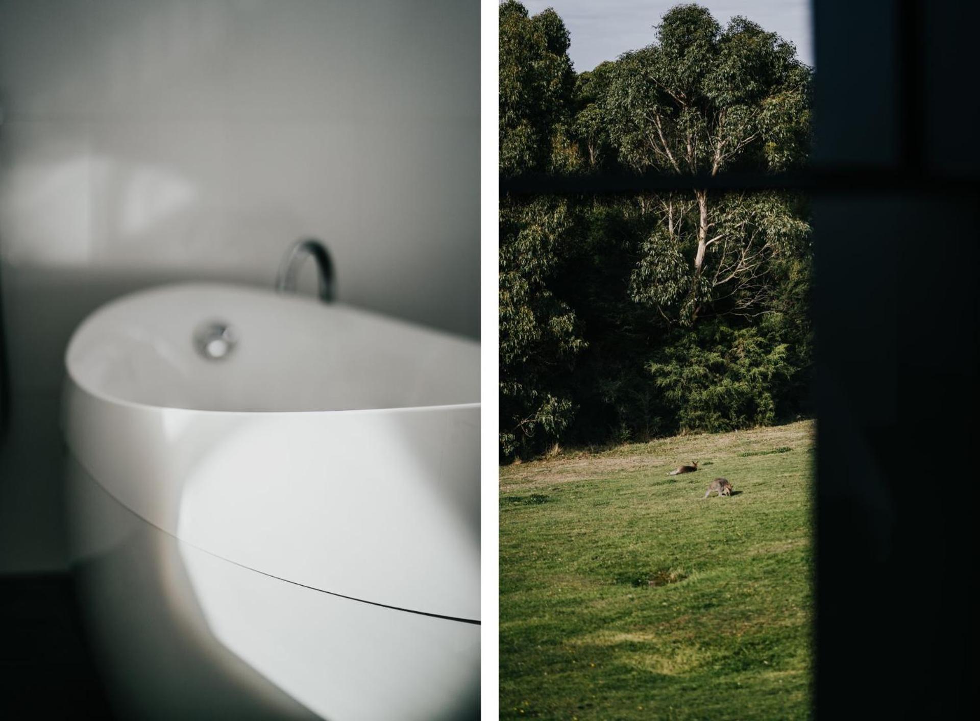 Wattle Hill Alkina Lodge Nuru מראה חיצוני תמונה